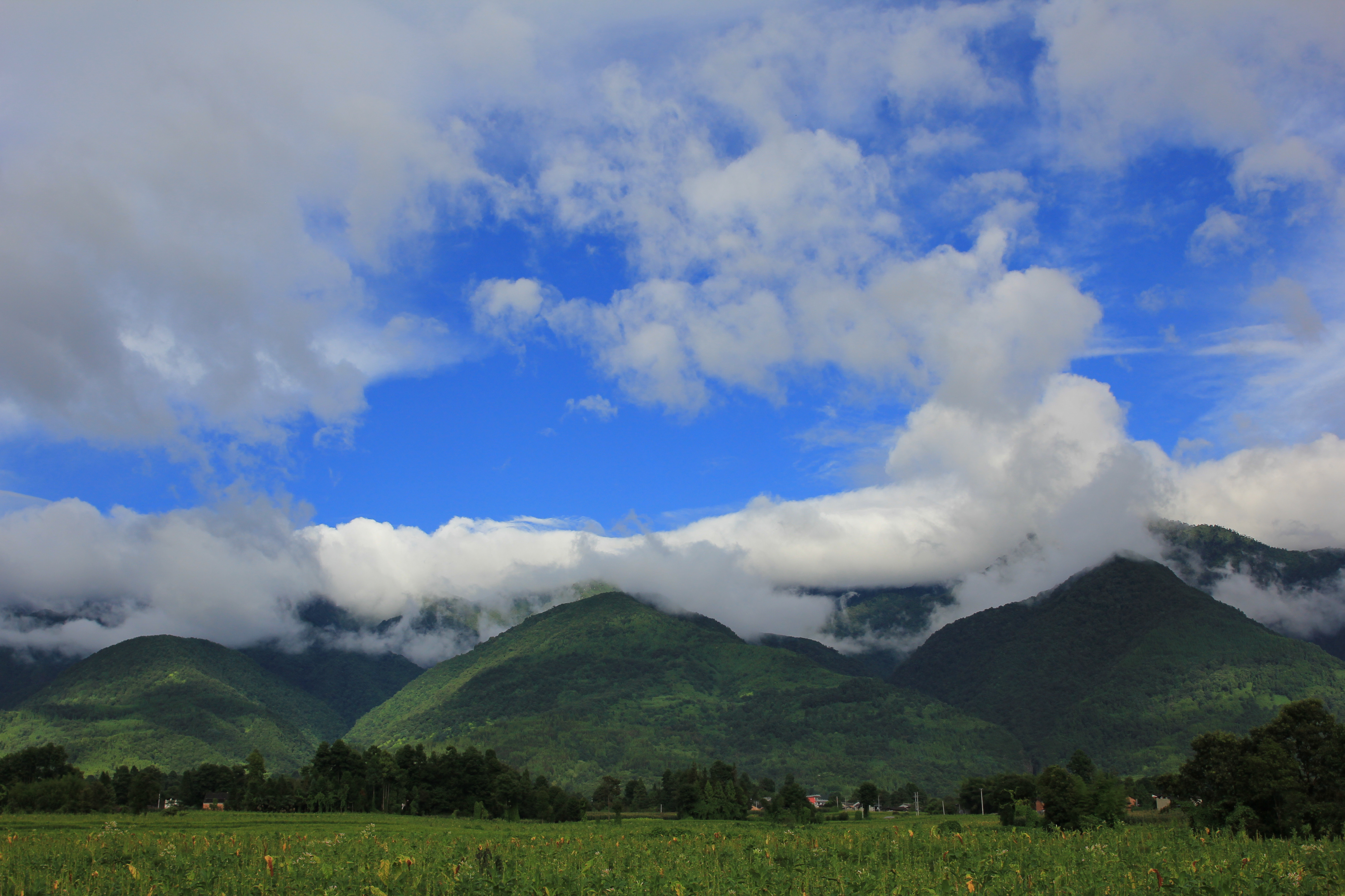 云南省高黎贡山国家级自然保护区