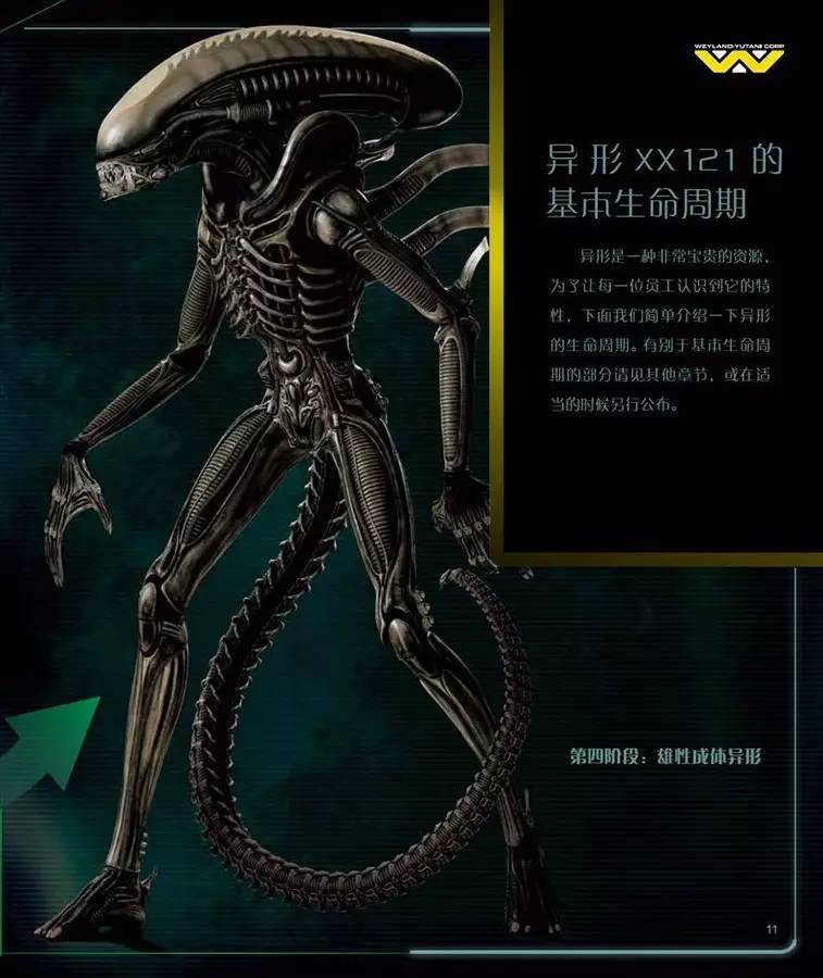 佩里,马库斯·潘瑟格劳编著,该书是一本精美的异形图鉴,收录了海量