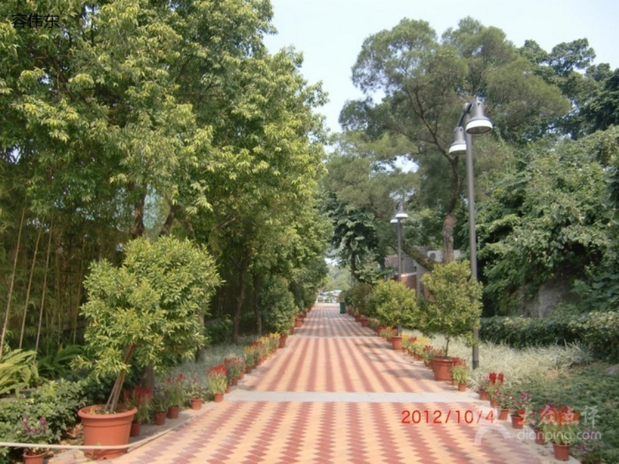 石排湾郊野公园