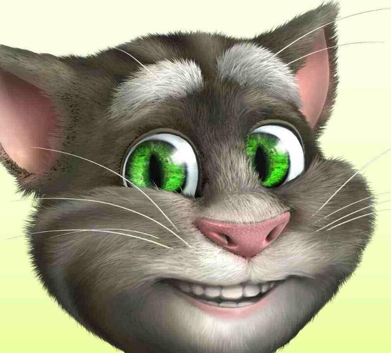 会说话的猫汤姆猫