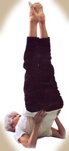 g470">许哲(teresa hsu chih,1897年7月7日-2011年12月7日),著名居士