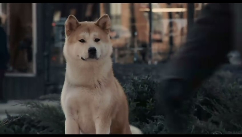  p>影片《忠犬八公的故事》改编自1925年发生在日本的真实故事,由 a