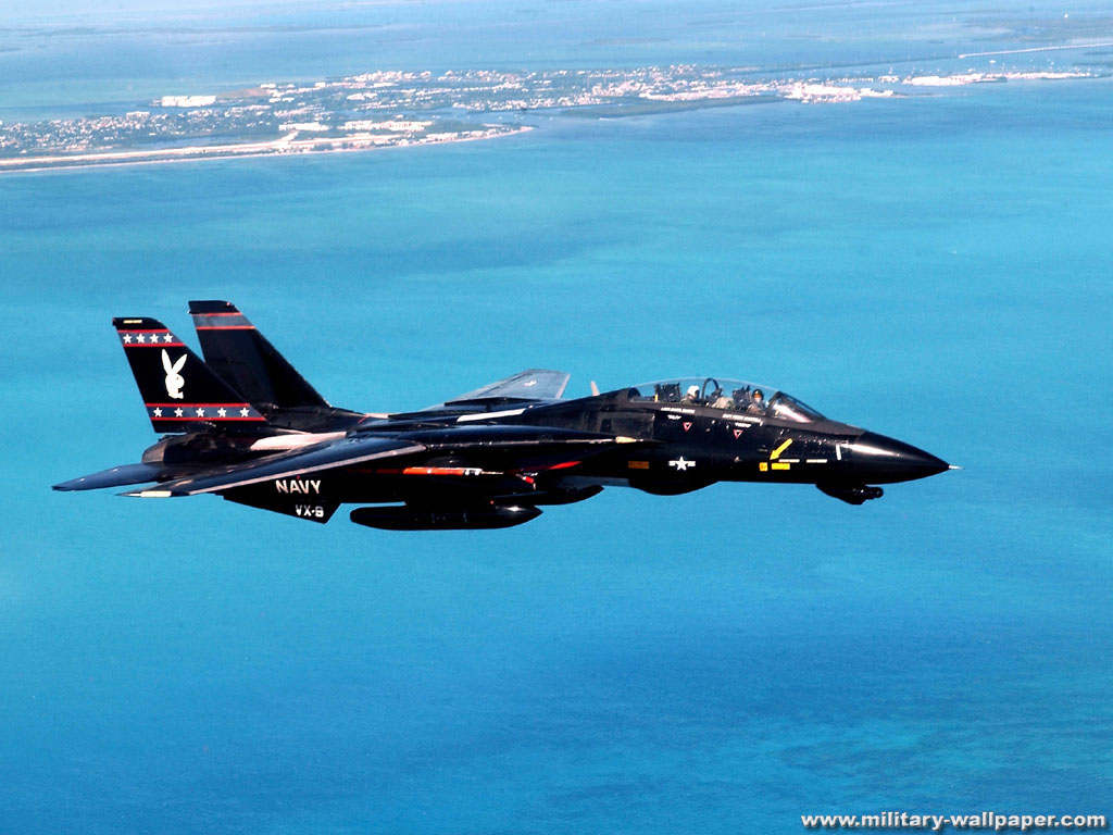 f-14"雄猫"战斗机