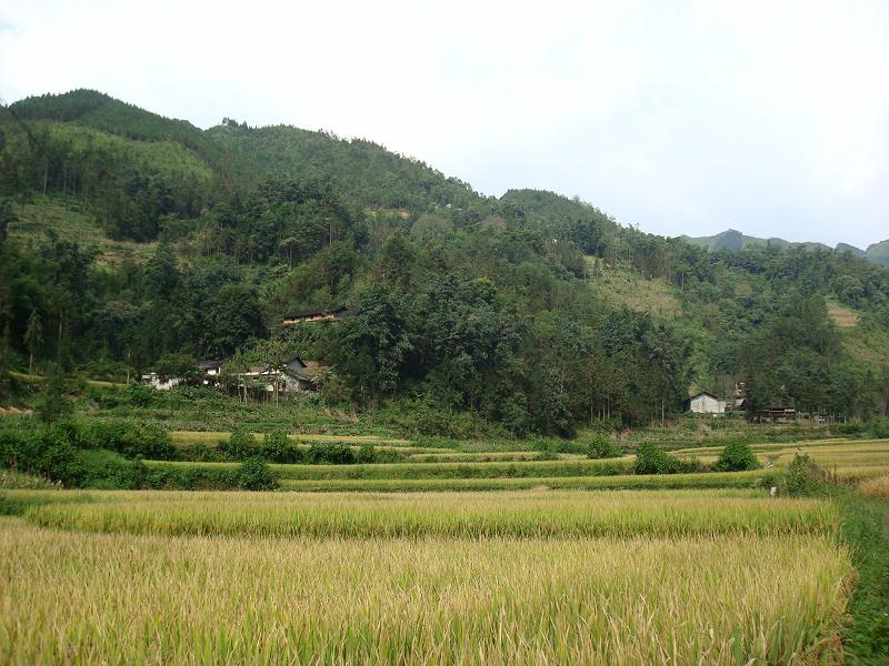  p>上普扫自然村,隶属于云南省文山壮族苗族自治州麻栗坡县铁厂乡普龙