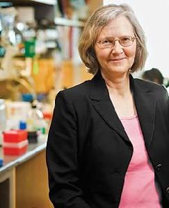 伊丽莎白·布莱克