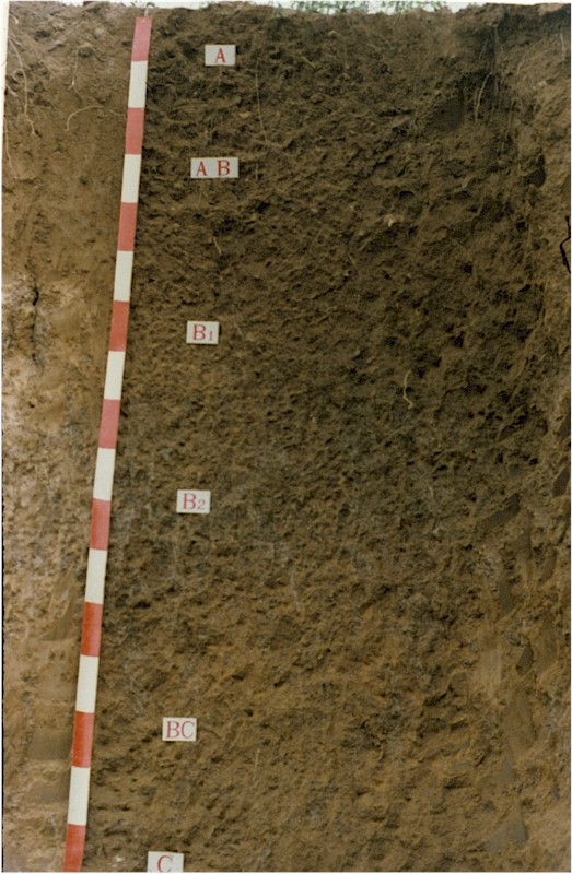 作物-土壤一气象模式