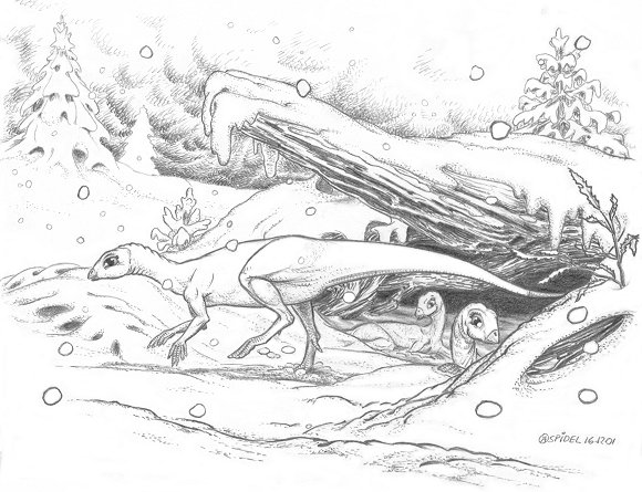 雷利诺龙(leaellynasaura)