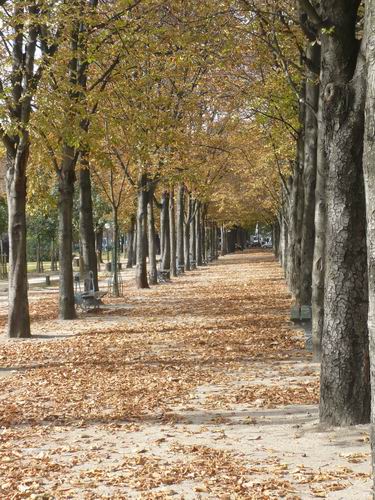  p>香榭丽舍大道(法语:avenue des champs - elysées),位于 a target