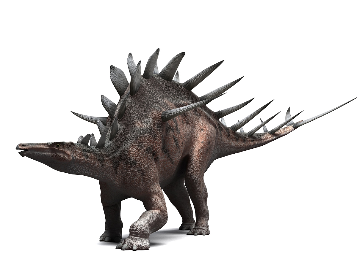 data-id="gnwq63ky65">钉状龙(属名kentrosaurus)又名肯氏龙,为剑龙科