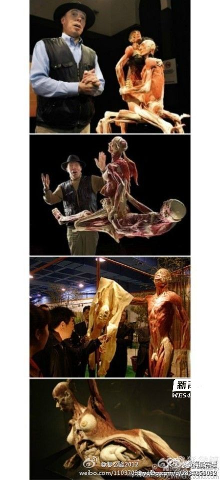 冯·哈根斯生物塑化(大连)有限公司