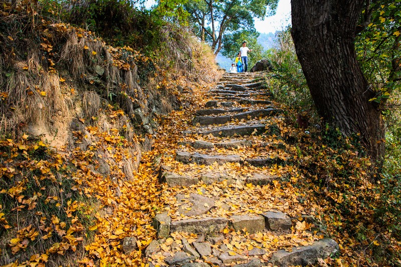 峡川镇东坪古道
