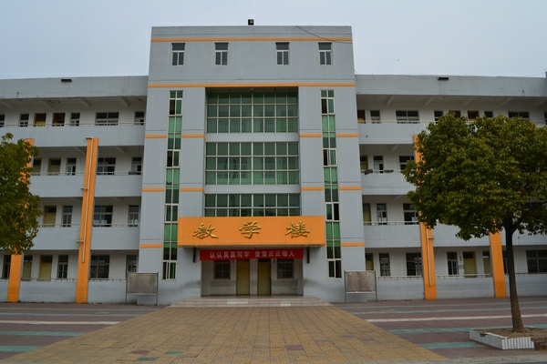 教育集团凭借其雄厚的实力于2011年6月正式打造高质量的泗阳致远小学