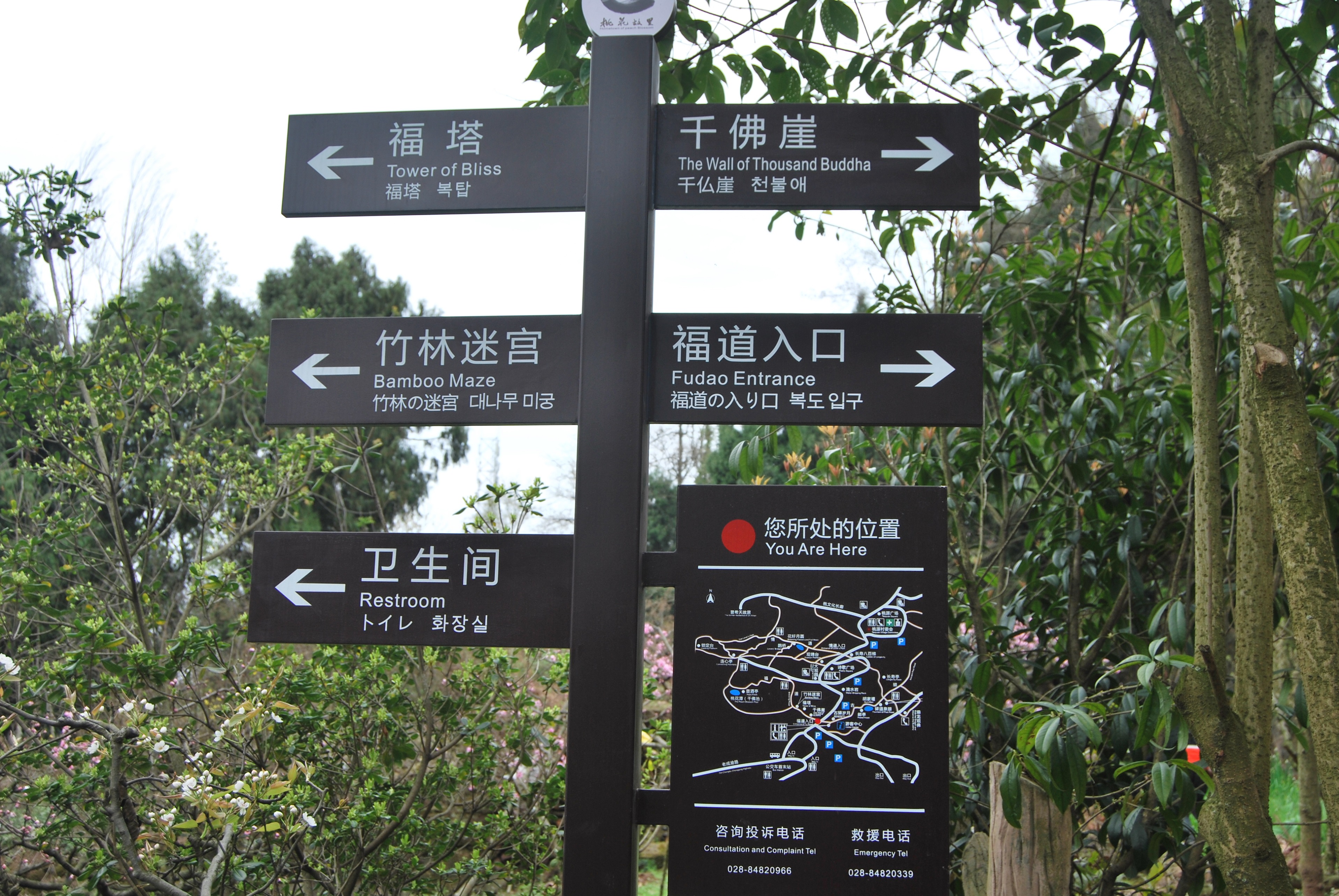  p data-id="gnwh8tpari">国家aaaa级旅游景区桃花故里位于成都龙泉山