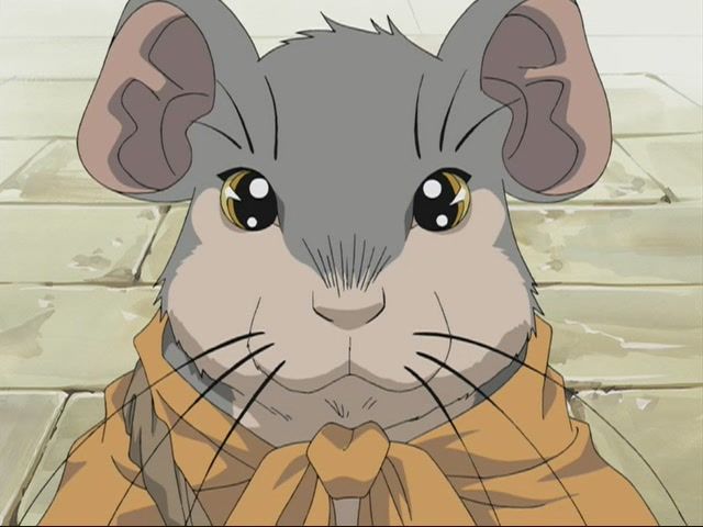 男性声优,歌手,新潟县出生,所属事务所为intention,唱片公司为lantis