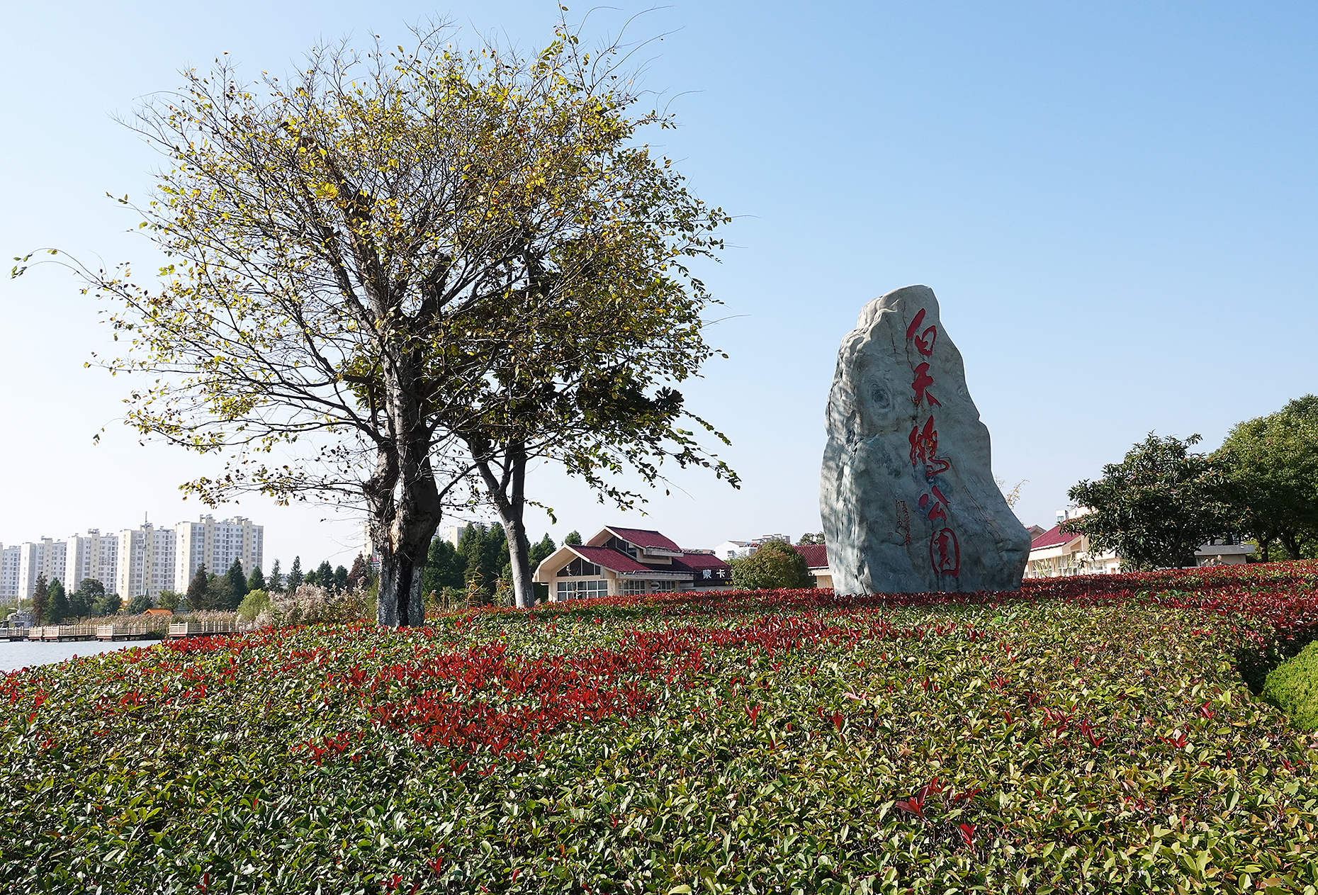  p>白天鹅公园在 a target="_blank" href="/item/阜宁/871643" data
