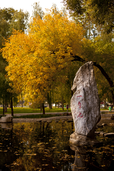  p>中国人民大学(renmin university of china),简称" a target="