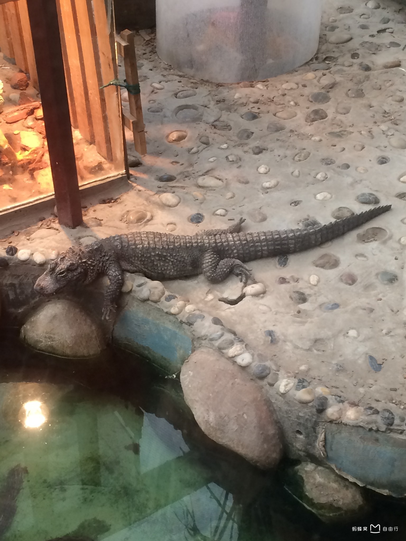 上海大自然野生昆虫馆