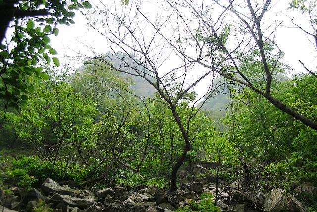 凤鸣谷森林公园