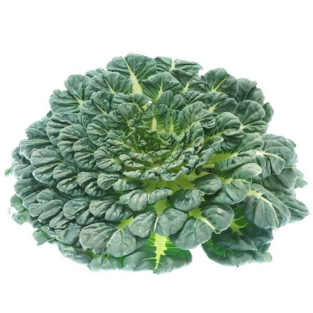 brassica narinosa
