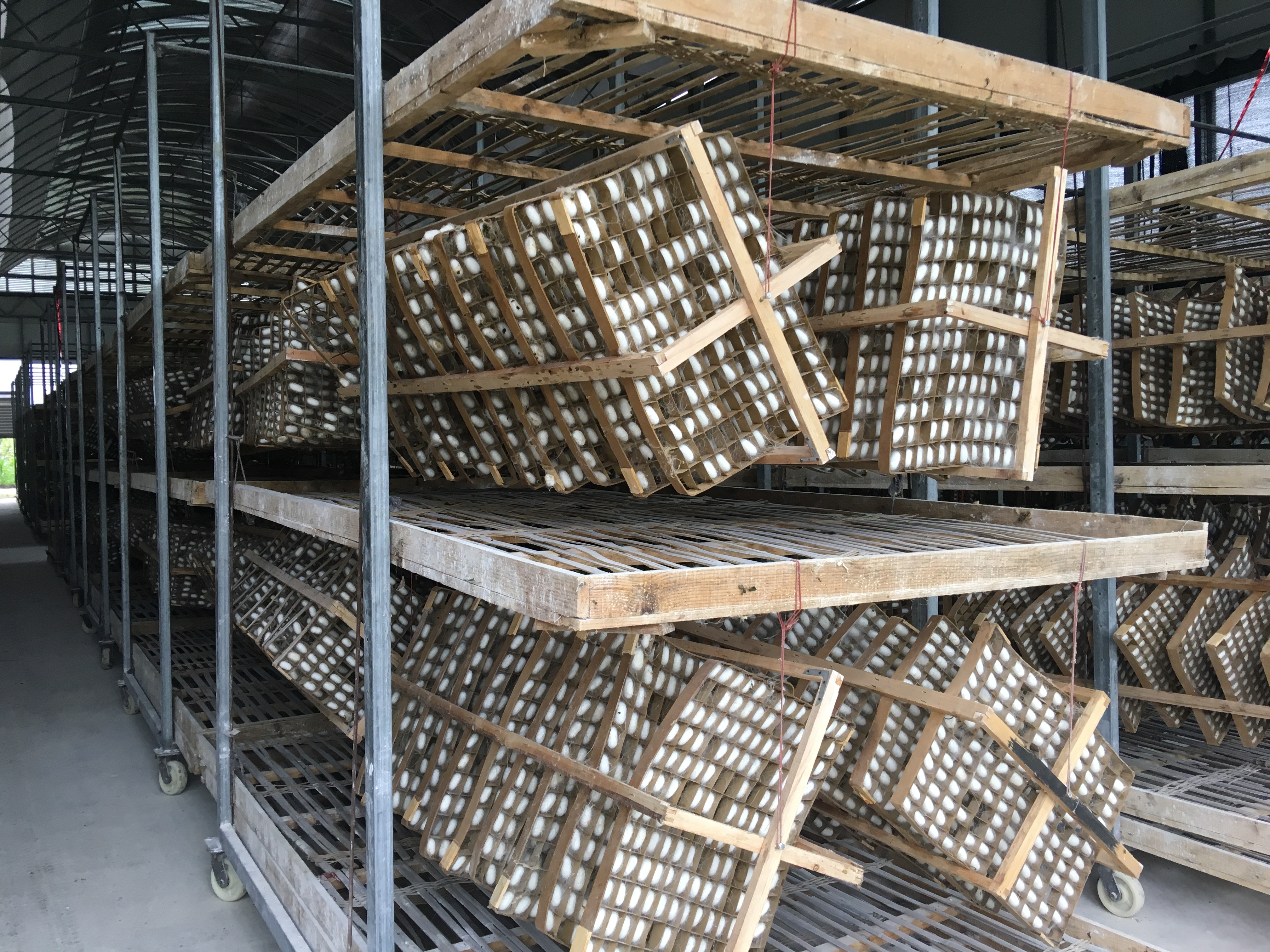  p> a target="_blank" href="/item/养蚕">养蚕 /a>所需要一切用具的