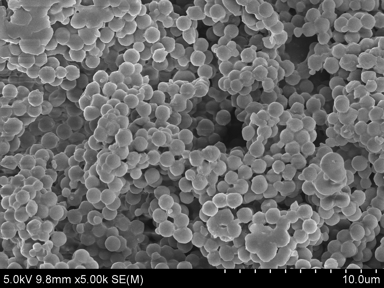 高聚物介电性能