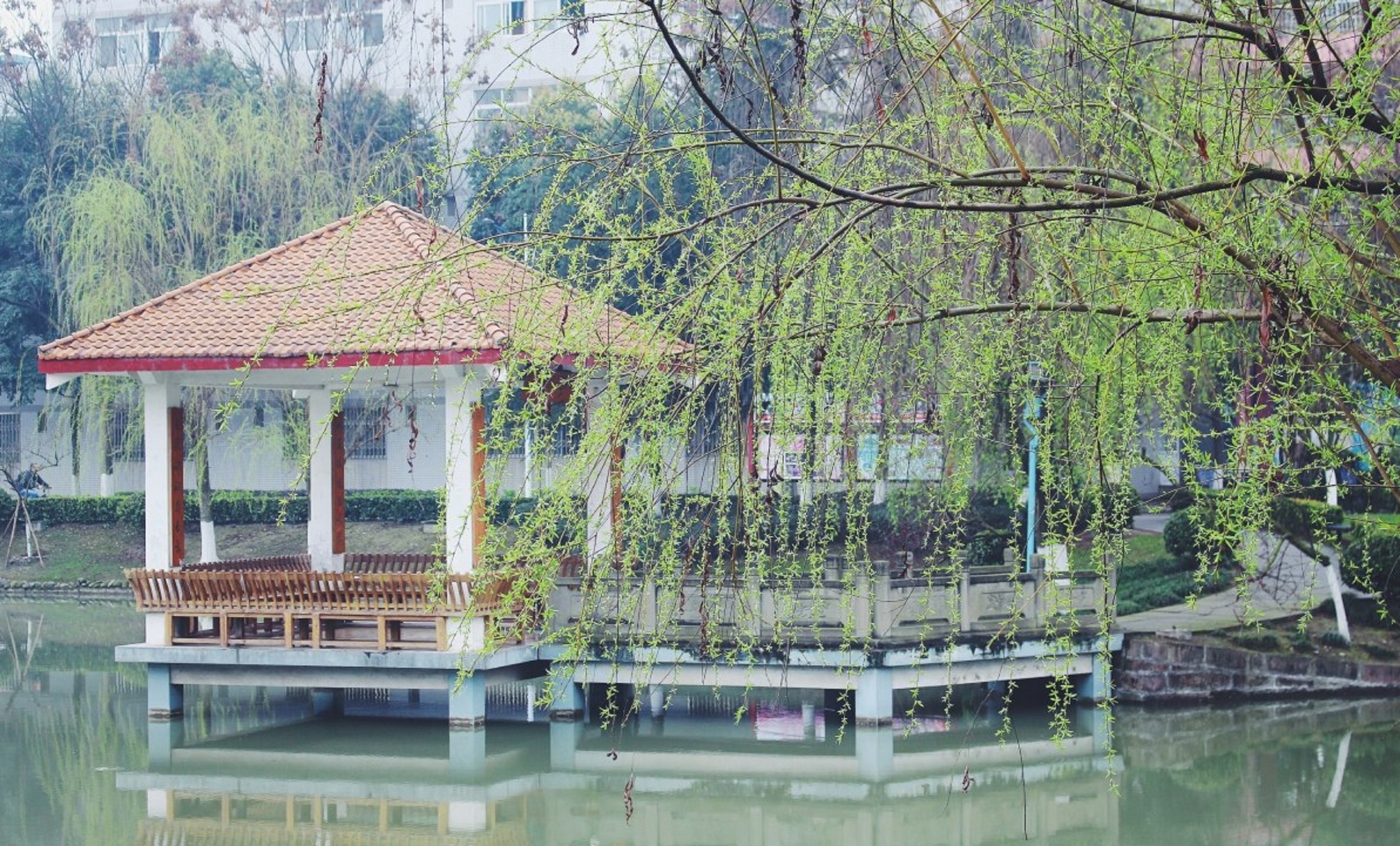  p>四川音乐学院(sichuan conservatory of music)简称"川音",位于 a