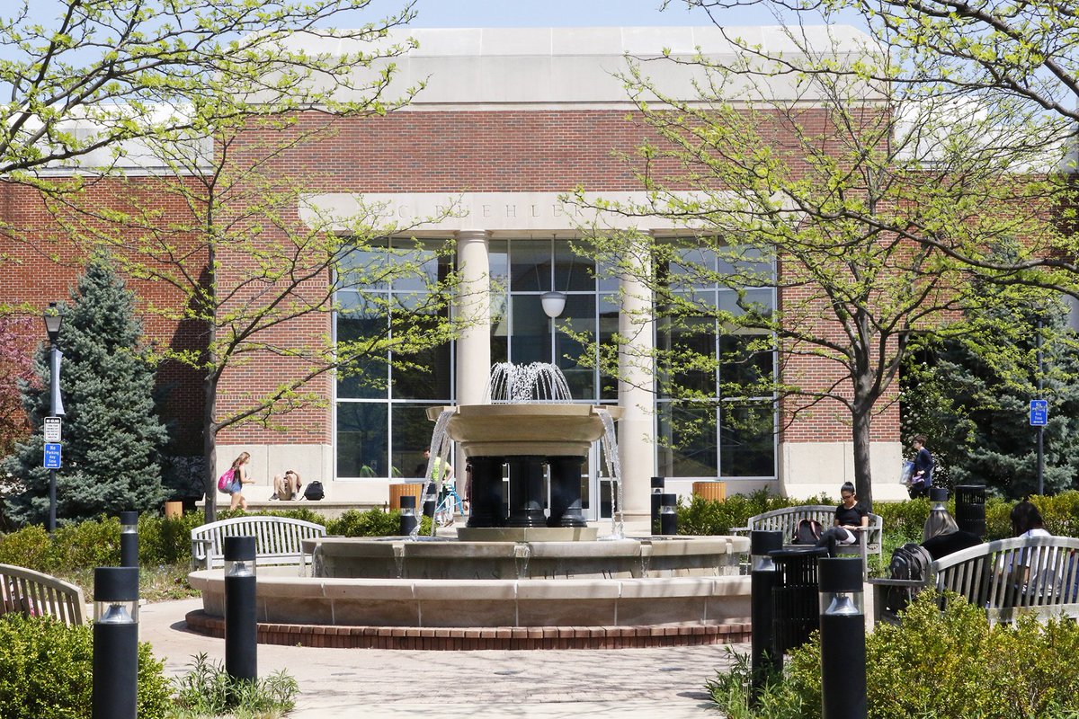 埃尔姆赫斯特学院