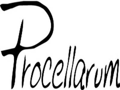 Procellarum_百度百科