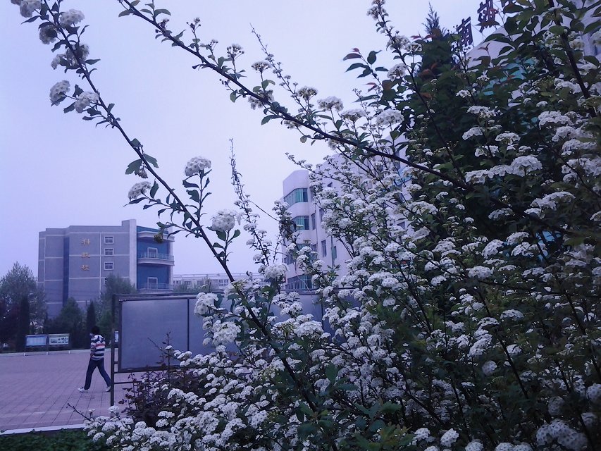 兴平市南郊高级中学