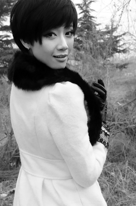 徐莉央视主持人 全网资源