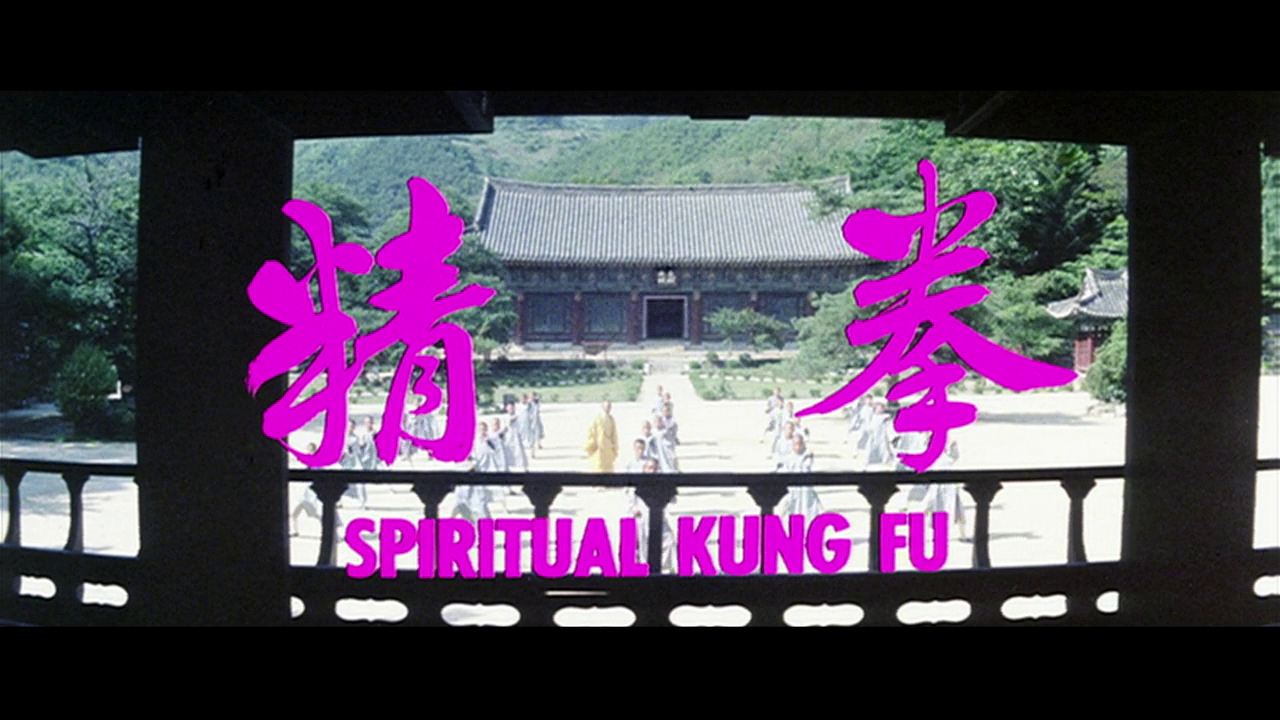  p>《拳精》是世界超级巨星成龙早期主演的一部功夫 a href="#" data