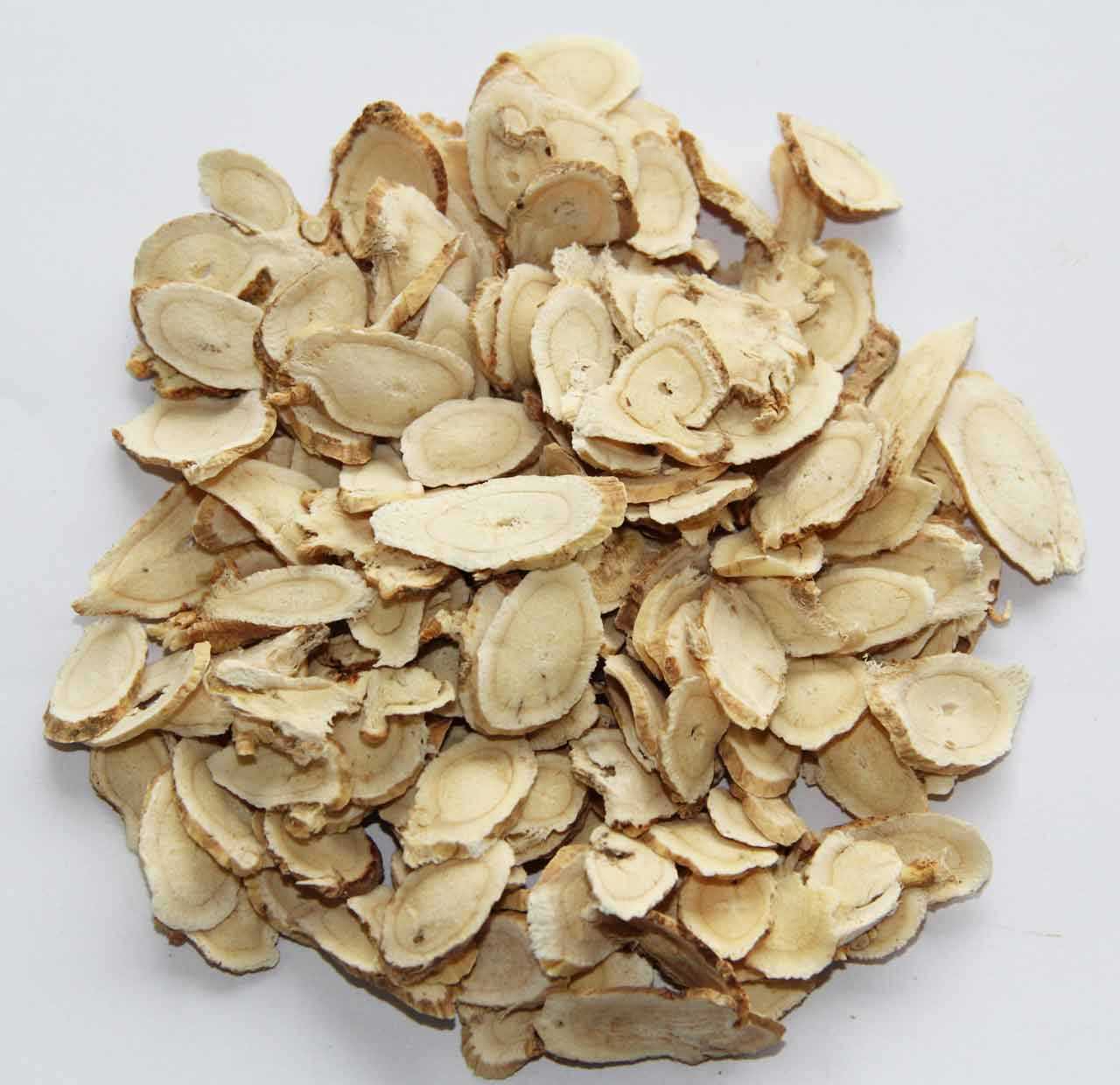  p>阿拉善黄芪属于 a target="_blank" href="/item/蒙古黄芪