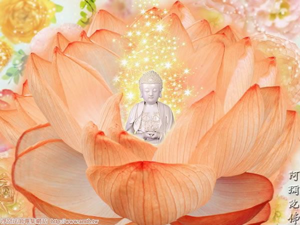 十種供養 百度百科