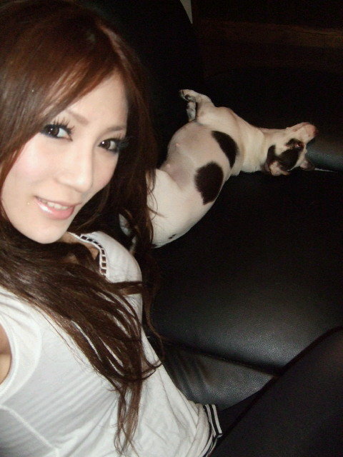  p>杏堂夏(杏堂なつ,ando-natsu),1986年12月23日出生于日本长崎县