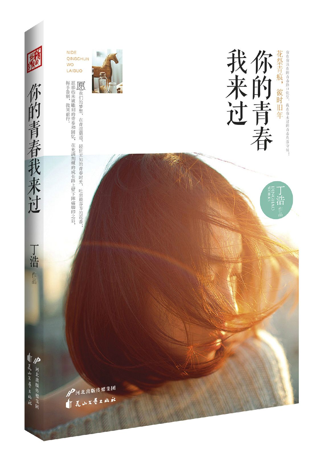 你的青春我来过