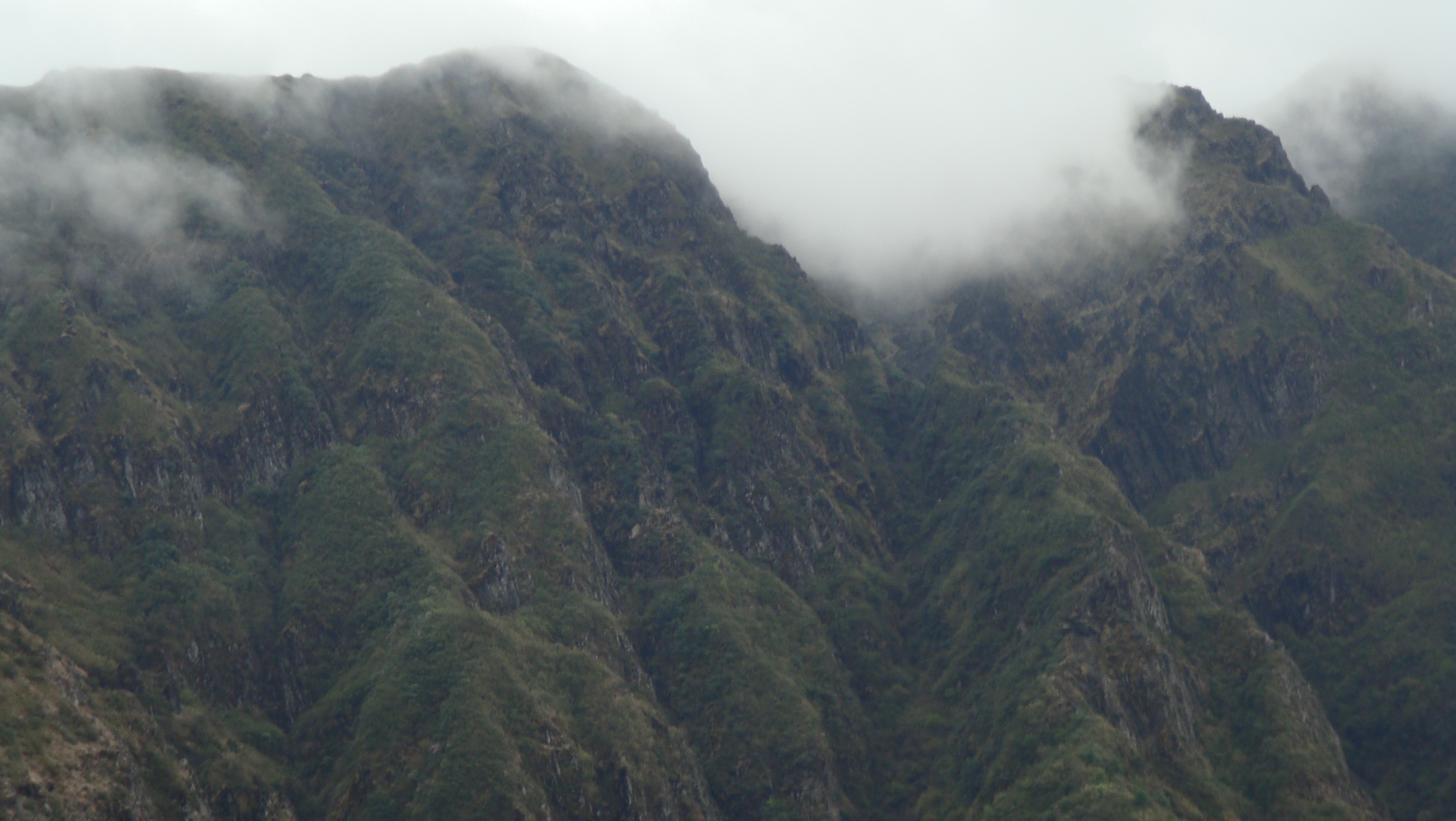  p>大牯牛寨,位于昆明市东川区与曲靖市会泽县交界.
