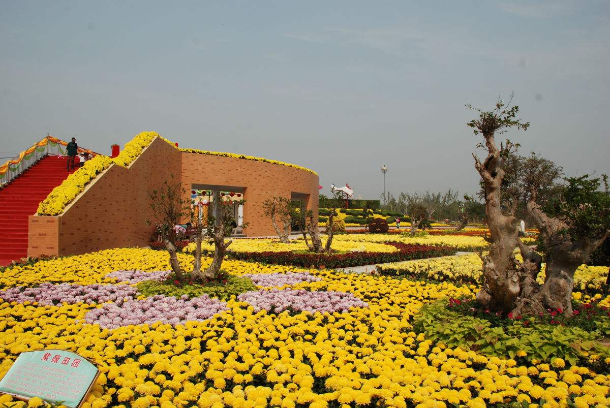 2,北京南彩园林位于丰台区花乡南路,是一家花卉苗木种植基地,北京花卉