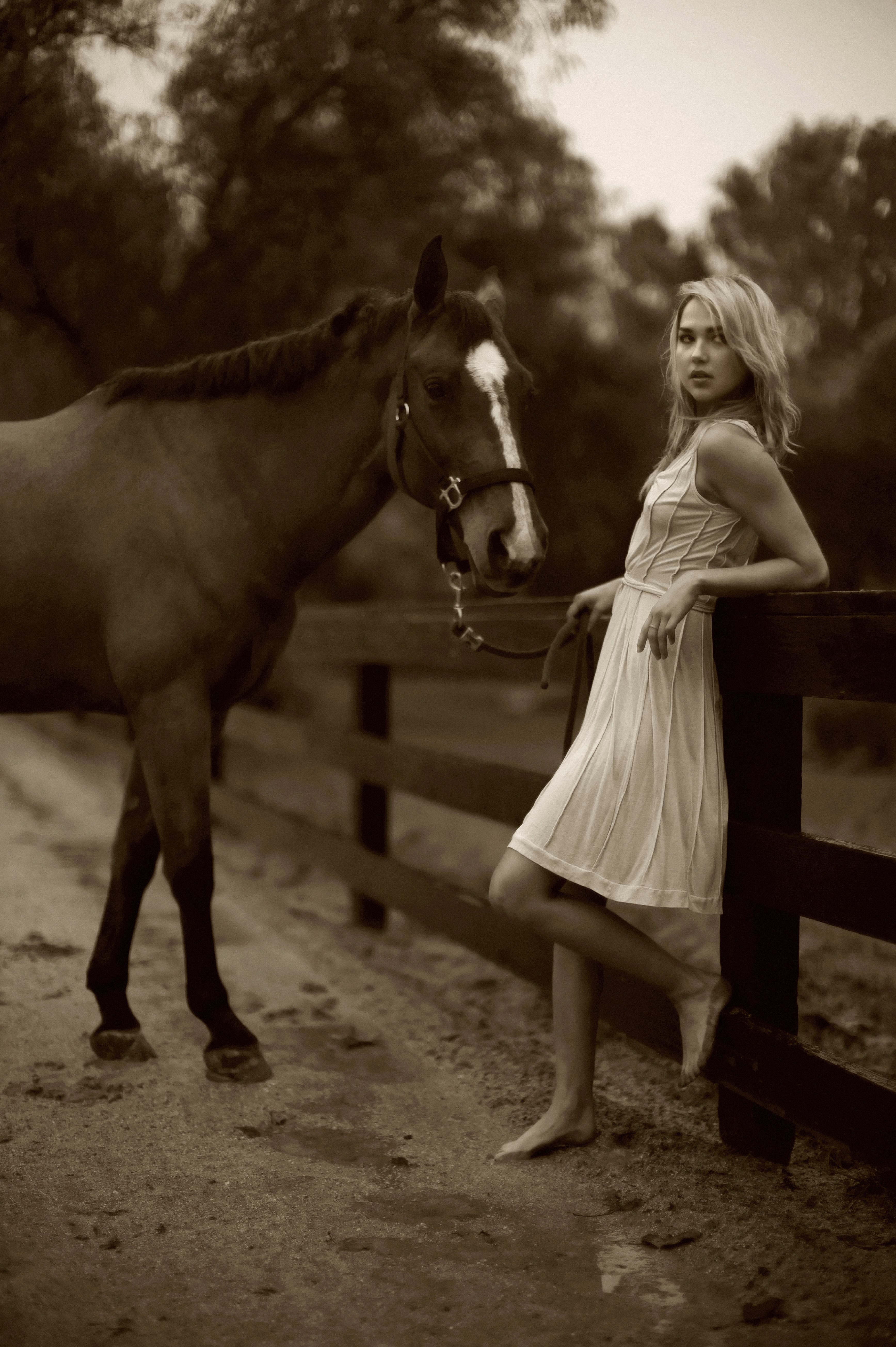 阿莉尔·凯贝尔