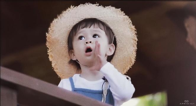 hammington,2016年7月12日出生于韩国,韩国搞笑艺人sam hammington的