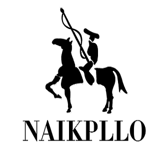 奈客保罗naikpllo