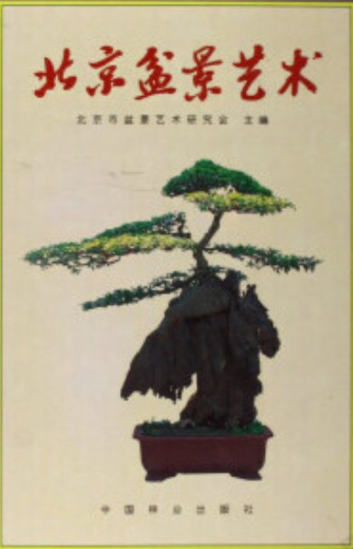  p data-id="gs68djxvng">《北京盆景艺术》是一本图书,作者是马文其.