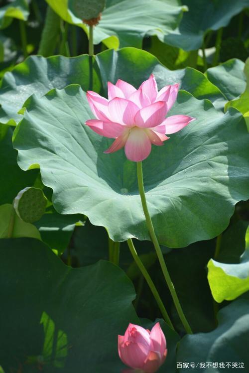 让我们共同走近孔子弟子及再传弟子的 论语 五 百科ta说