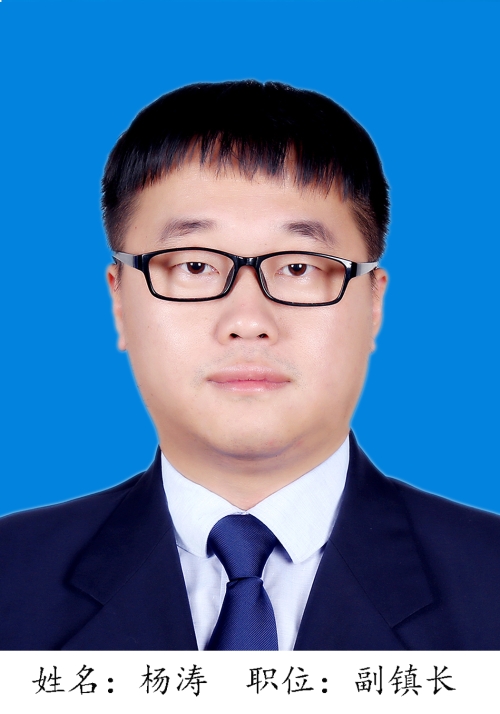 杨涛