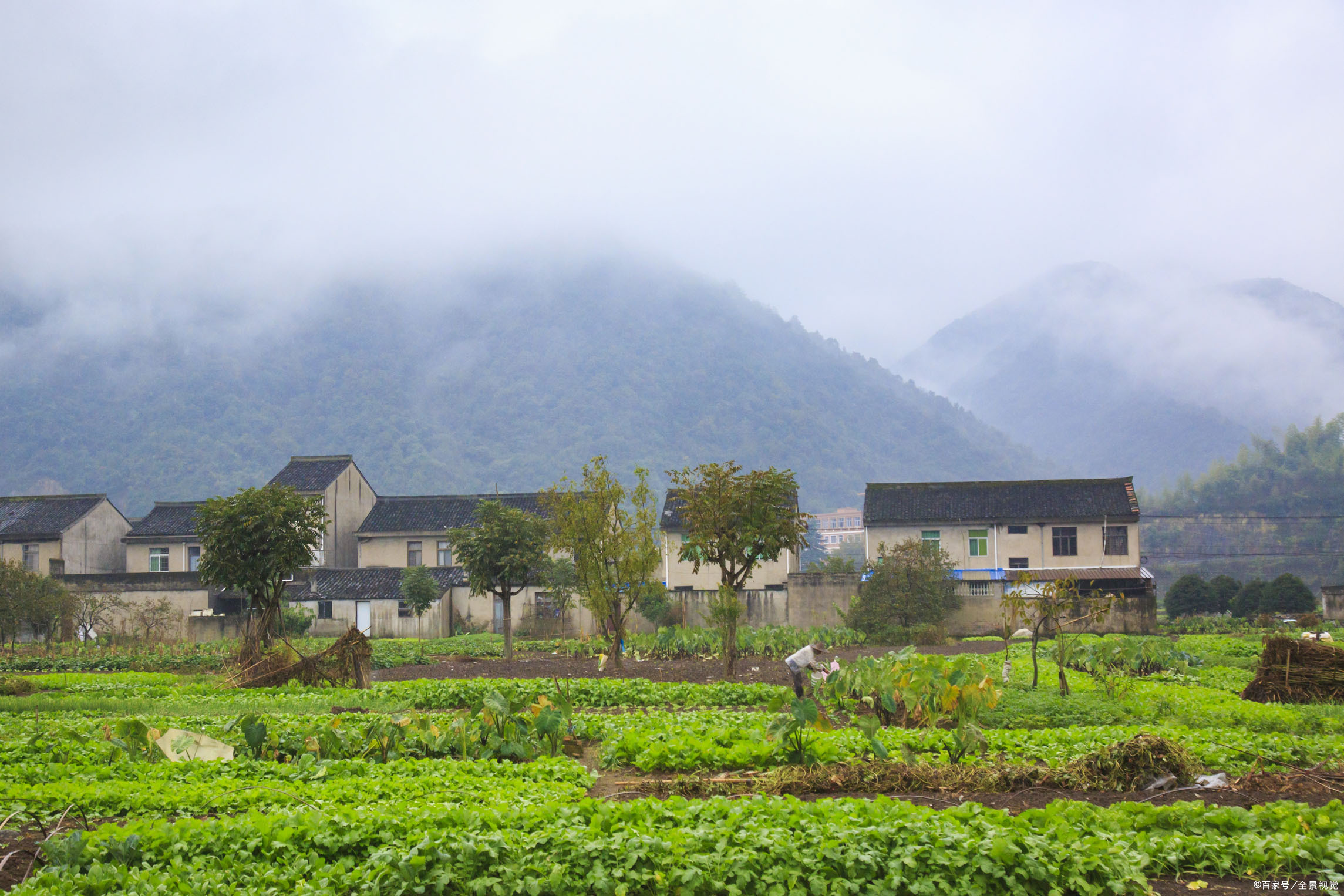 一首思乡诗，却写出了他人感情，白居易有什么妙笔？_百科TA说