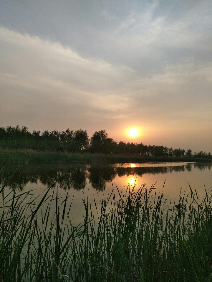 鹤鸣湖