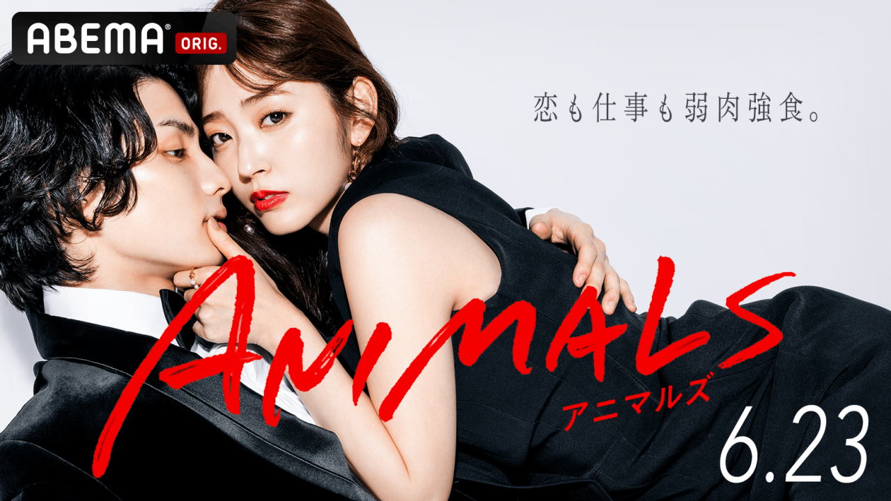 ANIMALS-动物_百度百科