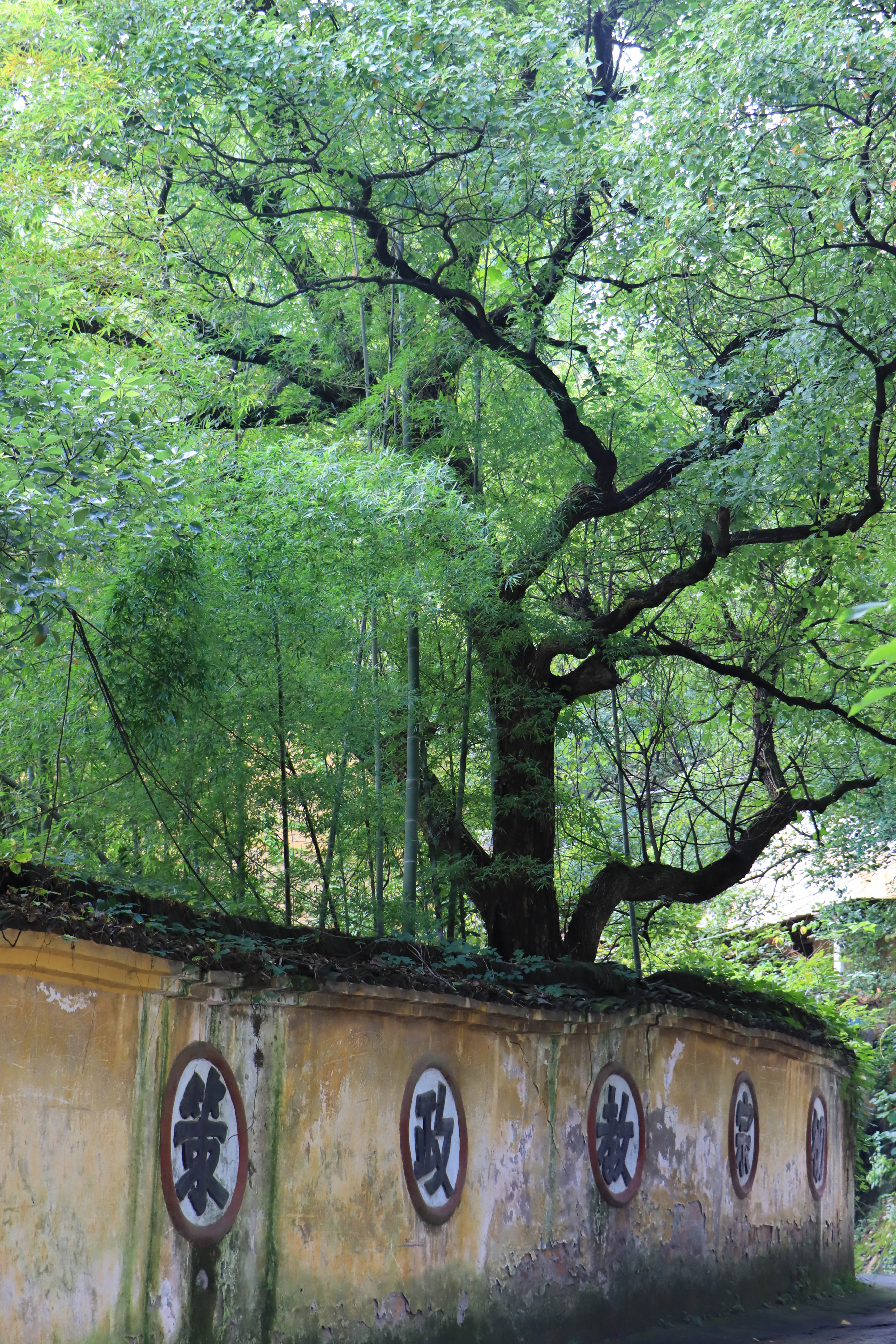 rx">地藏寺,浙江省 a target="_blank" href="/item/萧山市/6087443"