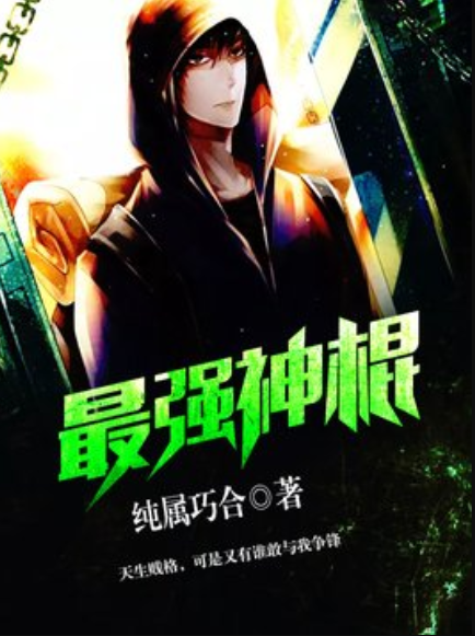 最强神棍（纯属巧合创作的网络小说）_百度百科