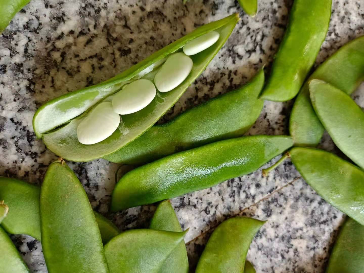  p>江西玉山特产三清山白玉豆盛产于三清山下玉山县西北部山区,是玉山