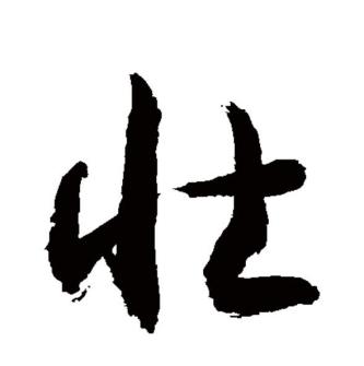壮（汉语文字）_百度百科